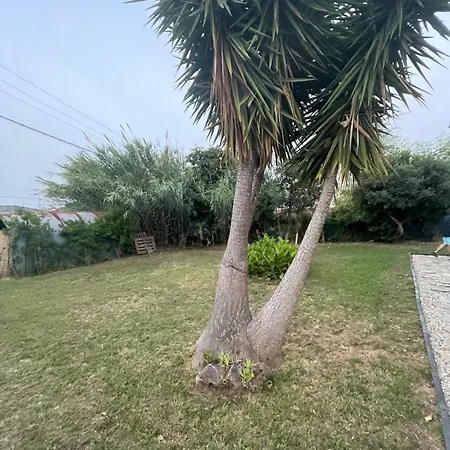 Moriani Between Sea And Mountain Villa